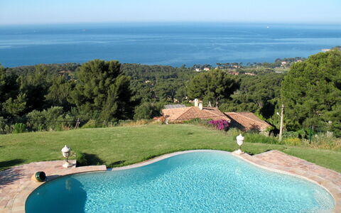 Rose: Piscine, Propriété, Immobilier, Loisir, Maison, Villa, Biens, Recours, Herbe, Vacances