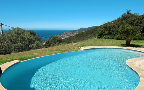 Jaune: Piscine, Propriété, Bleu Azur, Ressources En Eau, L'Eau, Immobilier, Vacances, Loisir, Biens, Maison