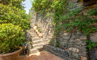 L'Oliverede