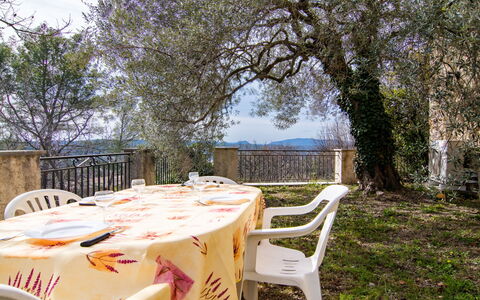 La Foux: Ciel, Fenêtre, Arbre, Bâtiment, Plante, Lot Terre, Siding, Maison, Herbe, Chalet