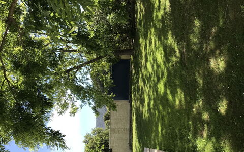 Casa Antoinette: Bâtiment, Plante, Vert, Paysage Naturel, Bois, Branche, Tronc, Lumière Du Soleil, Végétation, Ombre