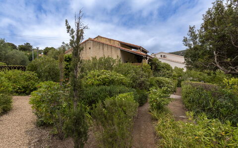 La Baraka: Végétation, Arbuste, Paysage, Communauté Des Plantes, Zone Rurale, Lot Terre, Jardin, Couverture De Sol, Chalet