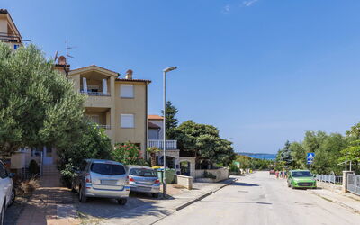 Vivoda