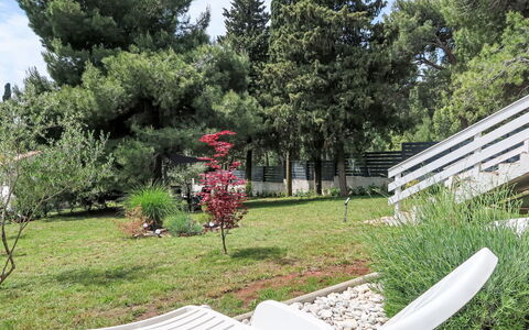 Igor: Arbuste, Jardin, Pelouse, Ombre, Aménagement Paysager, Arrière-Cour, Mobilier De Jardin, Cour, Parc