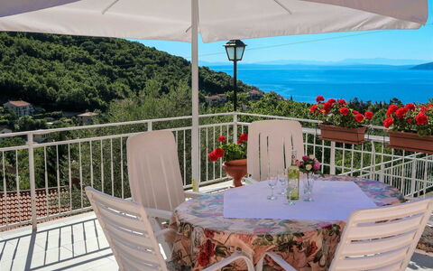 Mirjana: Table, Plante, Meubles, Propriété, Fleur, Ciel, Chaise, Tableau De Plein Air, Bleu Azur, Ombre