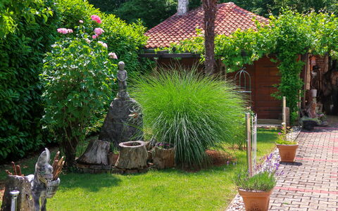 Blekic: Jardin, Cour, Propriété, Herbe, Arrière-Cour, Plante, Arbuste, Famille Grass, Pelouse, Arbre