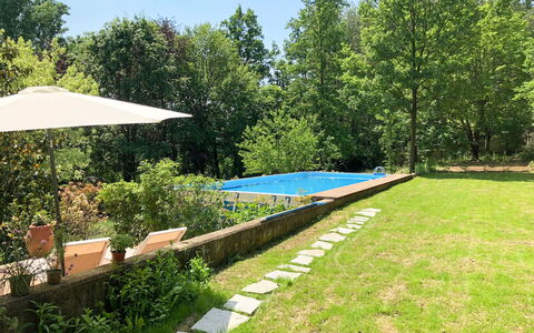 Giorgio Winery: Propriété, Paysage Naturel, Herbe, Jardin, Arrière-Cour, Cour, Pelouse, Immobilier, Arbre, Maison