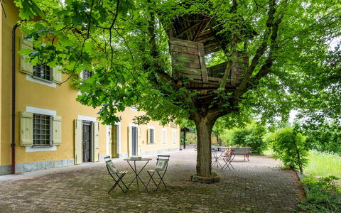 Giorgio Winery: Bâtiment, Plante, Fenêtre, Feuille, Arbre, Branche, Éclairage Public, Herbe, Maison, Ombre