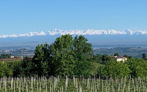 Villa Loreto: Ciel, Plante, Communauté Des Plantes, Montagne, Écorégion, Paysage Naturel, La Nature, Environnement Naturel, Arbre, Montagnes