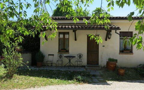 I Grilli: Plante, Propriété, Bâtiment, Paysage Naturel, Arbre, Lot Terre, Maison, Chalet, Paysage, Zone Résidentielle