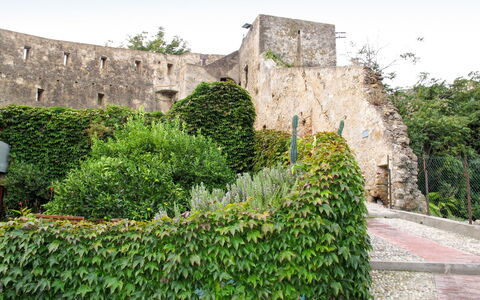 Ernestina: Mur, Fortification, Végétation, Château, Ruines, Bâtiment, Herbe, Arbre, Plante, Histoire