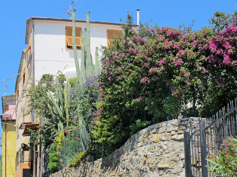 Castellotto (Imp236)