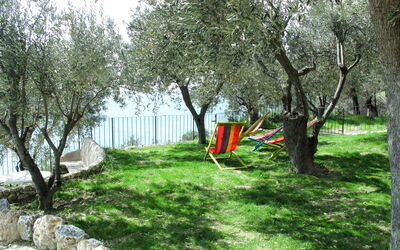 Francesca (Vgo210)