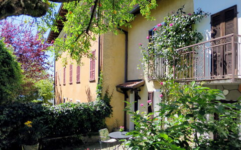 Nicol: Plante, Propriété, Arbuste, Jardin, Maison, Immobilier, Bâtiment, Violet, Zone Résidentielle