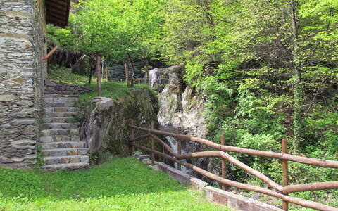 Bragna: Végétation, Vert, Arbre, Réserve Naturelle, Mur, Herbe, Feuille, Plante, Zone Rurale, Forêt