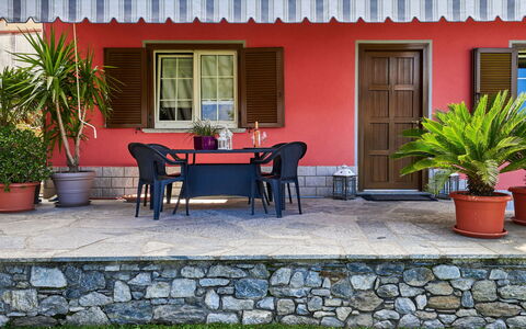 Casa Martina: Plante, Bâtiment, Fenêtre, Propriété, Pot De Fleur, Chaise, Table, Plante D'Appartement, Design Intérieur, Maison