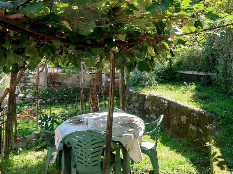 Fonte Dell'erbollo (Dgo159)