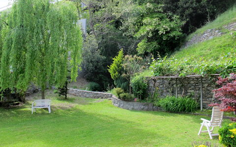 Gera Lario 679: Jardin, La Nature, Arbre, Paysage Naturel, Vert, Végétation, Arbuste, Herbe, Jardin Botanique, Cour