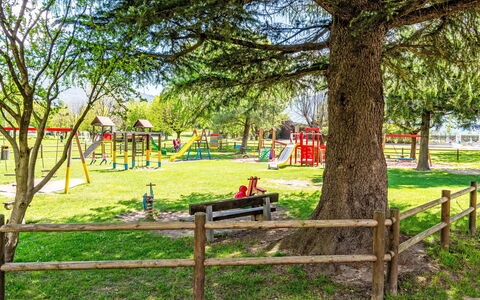 Leonardo: Plante, Extérieur Banc, Feuille, Branche, Paysage Naturel, Arbre, Ombre, Végétation, Lumière Du Soleil, Herbe
