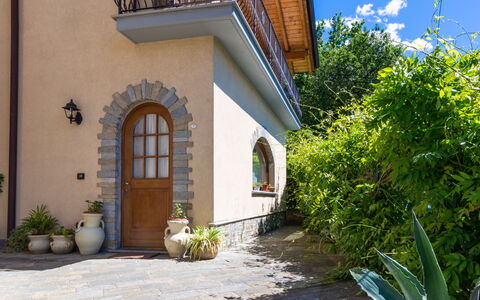 Fulvia (Cco125): Plante, Propriété, Ciel, Bâtiment, Bleu Azur, Nuage, Pot De Fleur, Fenêtre, Architecture, Plante D'Appartement