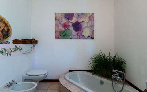 Candida: Plante, Luminaire Plomberie, Propriété, Robinet, Baignoire, Produit, Violet, Bleu Azur, Bâtiment, Salle De Bains