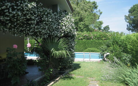 Serena: Plante, Ciel, Bâtiment, Nuage, L'Eau, Architecture, Végétation, Arbre, Ombre, Herbe