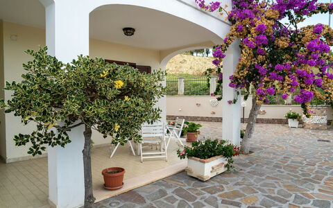 Dolce Vita: Fleur, Pot De Fleur, Jardin, Ombre, Plante D'Appartement, Béton, Hacienda, Aménagement Paysager, Dalle