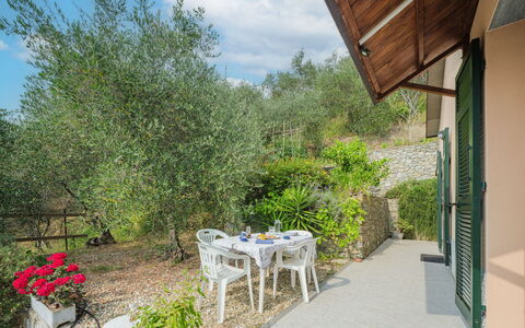 Zia Maria: Plante, Ciel, Nuage, Propriété, Table, Chaise, Ombre, Arbre, Herbe, Pot De Fleur