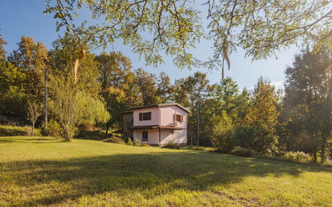 Grande Quercia: Plante, Ciel, Bâtiment, Fenêtre, Maison, Paysage Naturel, Arbre, Lot Terre, Herbe, Chalet
