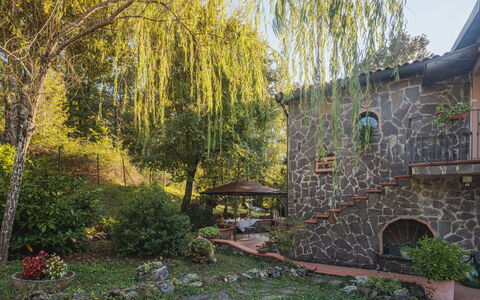 Grande Quercia: Plante, Feuille, Paysage Naturel, Arbre, Bâtiment, Ciel, Lumière Du Soleil, Herbe, Lot Terre, Fenêtre