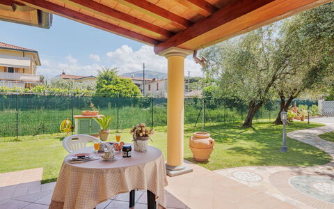 Colli: Plante, Propriété, Table, Pot De Fleur, Bâtiment, Ciel, Vaisselle, Ombre, Design Intérieur, Arbre