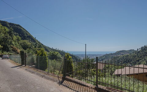 Luca: Bois, Éclairage, Design Intérieur, Sol, Sol, Salon, Immobilier, Dur, Table, Faisceau