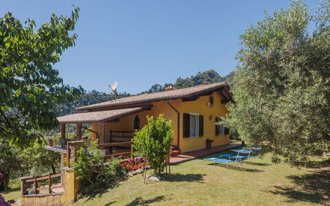 Luca: Plante, Ciel, Bâtiment, Fenêtre, Communauté Des Plantes, Maison, Arbre, Lot Terre, Ombre, Paysage Naturel