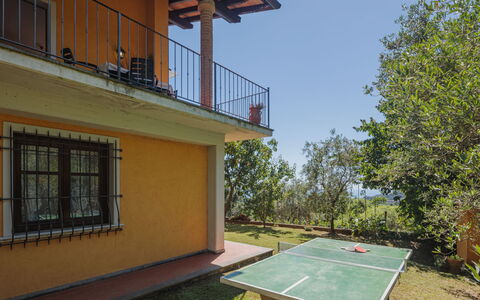Luca: Bâtiment, Propriété, Fenêtre, Plante, Ciel, Bois, Ombre, Arbre, Architecture