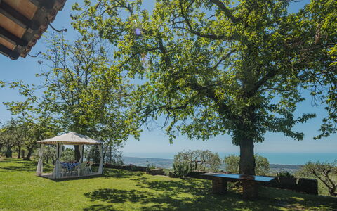 Di Carlino: Ciel, Plante, L'Eau, Paysage Naturel, Botanique, Ombre, Végétation, Lot Terre, Loisir, Biome
