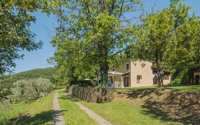 Di Carlino