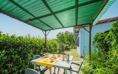 Margherita: Plante, Meubles, Propriété, Communauté Des Plantes, Table, Bâtiment, La Nature, Botanique, Ombre, Mobilier De Jardin