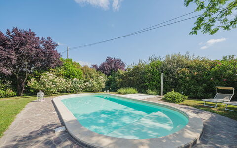 Villa Ulivo: L'Eau, Ciel, Plante, Propriété, Nuage, Piscine, La Nature, Botanique, Bleu Azur, Architecture