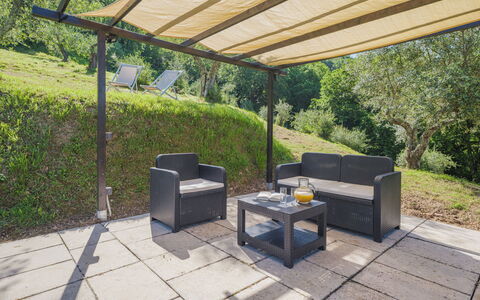 Buratto: Plante, Meubles, Ombre, Mobilier De Jardin, Design Intérieur, Table, Arbre, Herbe, Mur, Bâtiment