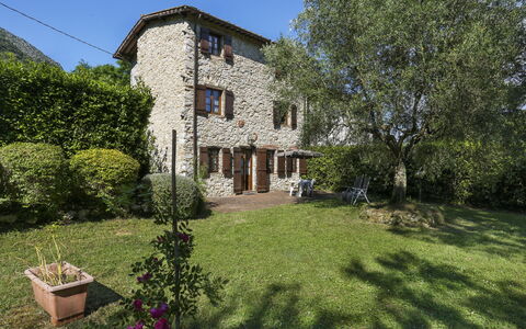 Girasole: Plante, Ciel, Propriété, Bâtiment, Fenêtre, Arbre, Paysage Naturel, Lot Terre, Chalet, Herbe