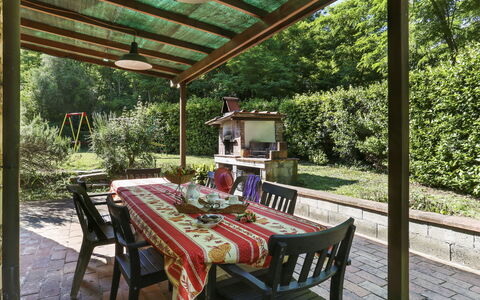 Girasole: Plante, Table, Meubles, Propriété, Chaise, Tableau De Plein Air, Arbre, Bâtiment, Ombre, Mobilier De Jardin