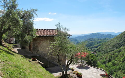 Castagneto: Propriété, Végétation, Montagne, Paysage Naturel, Maison, Région Sauvage, Arbre, Station De Montagne, Ciel, Immobilier