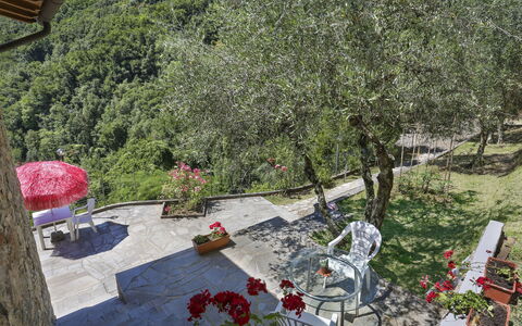 Castagneto: Plante, Fleur, Chaise, Arbre, Pot De Fleur, Biome, Mobilier De Jardin, Herbe, Design Urbain, Suppression Des Plantes Ligneuses