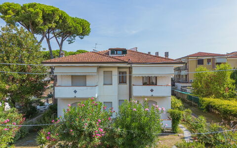 Dei Fiori: Ciel, Plante, Bâtiment, Propriété, Fenêtre, Maison, Arbre, Fleur, Lot Terre