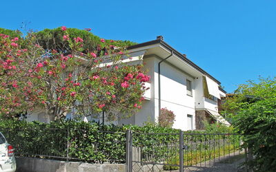 Dei Fiori