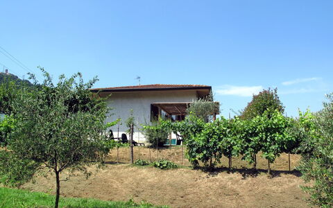 Emilia: Ciel, Plante, Communauté Des Plantes, Écorégion, Bâtiment, Paysage Naturel, Lot Terre, Végétation, Maison, Nuage