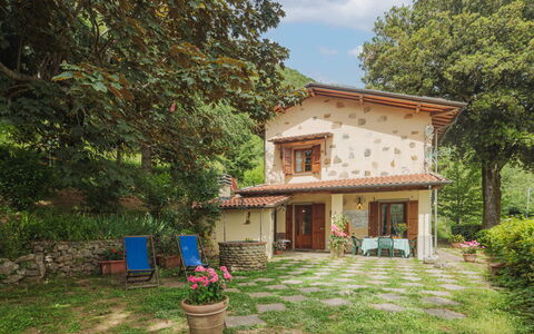 La Quercia: Plante, Bâtiment, Fenêtre, Pot De Fleur, Ciel, Arbre, Lot Terre, Nuage, Maison, Herbe