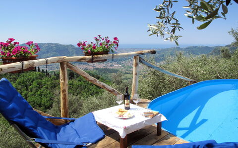 Olivella: Ciel, Fleur, Propriété, Plante, Meubles, Table, Bleu, La Nature, Bleu Azur, Botanique