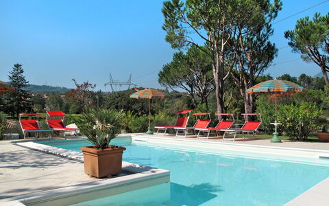 Verde Versilia: L'Eau, Plante, Ciel, Propriété, Piscine, Bleu Azur, Arbre, Ombre, Mobilier De Jardin, Pot De Fleur