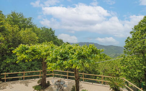 Alba: Nuage, Ciel, Plante, Communauté Des Plantes, Clôture, Paysage Naturel, Lot Terre, Montagne, Pot De Fleur, Arbre